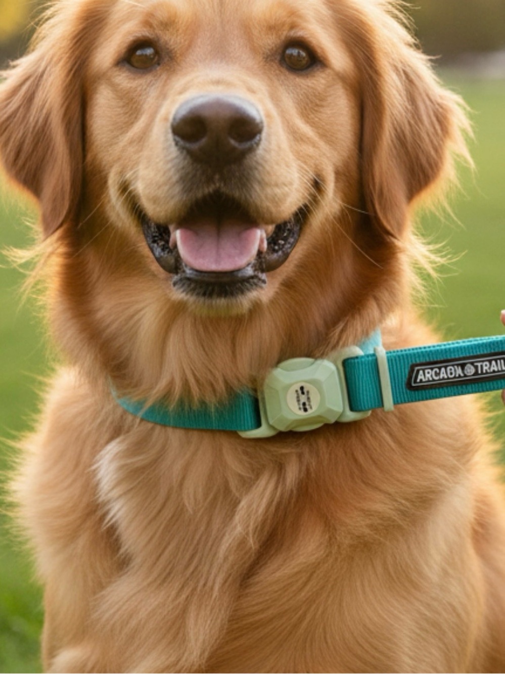 Arcadia Trail Magnetic Clip Dog Collar in Teal and Mint Size M